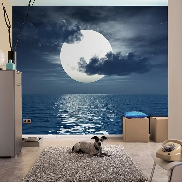 Luna sopra il mare - FOTOMURALI