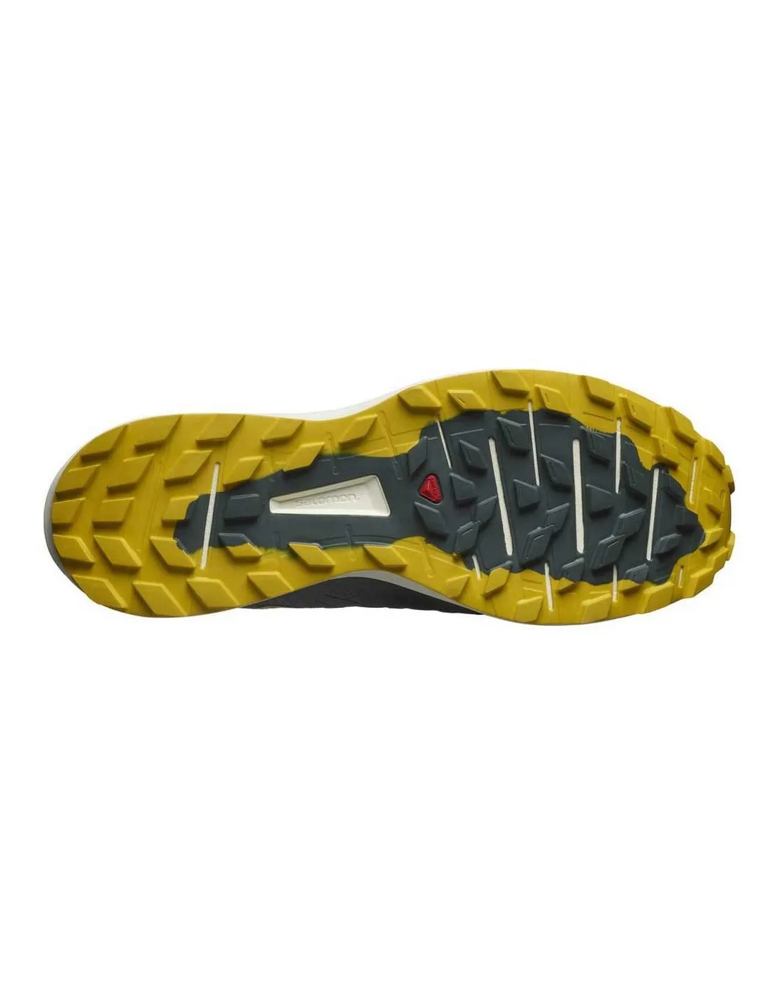 Salomon Sense Ride 3 Trail Balsam Gr / Vanilla / Sulphur