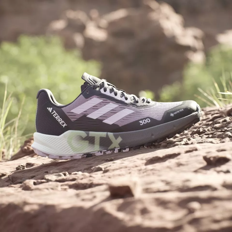 Scarpe per sentieri adidas TERREX AGRAVIC FLOW 2 GTX W