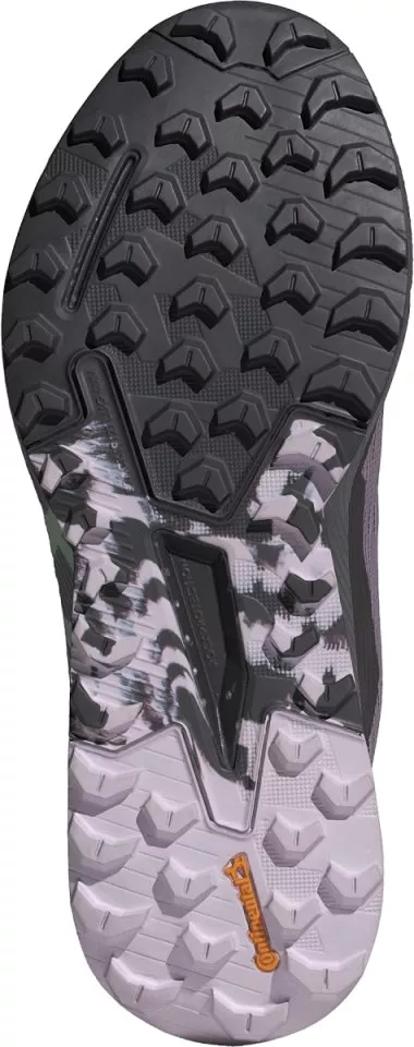 Scarpe per sentieri adidas TERREX AGRAVIC FLOW 2 GTX W
