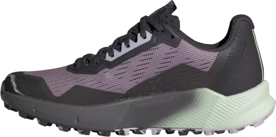 Scarpe per sentieri adidas TERREX AGRAVIC FLOW 2 GTX W
