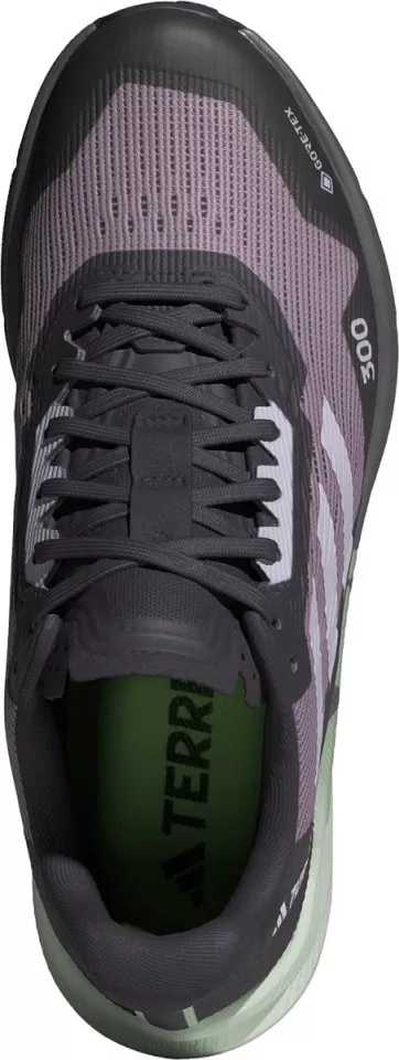 Scarpe per sentieri adidas TERREX AGRAVIC FLOW 2 GTX W